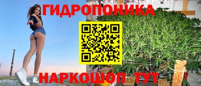 mdpv Гатчина