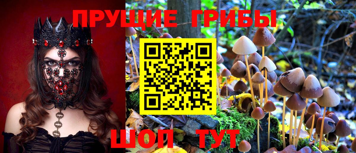 Галлюциногенные грибы Psilocybine cubensis  Вход с VPN  Москва 