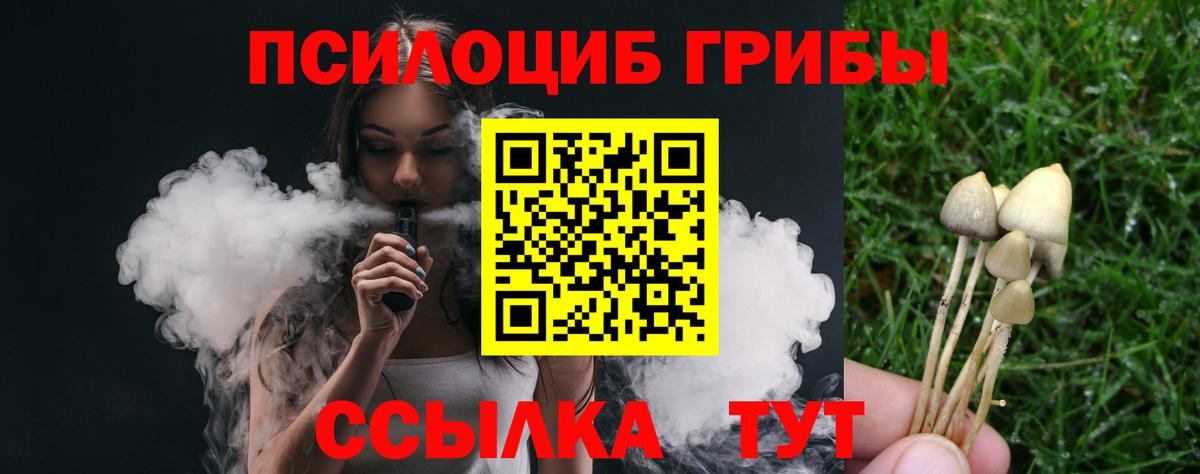Галлюциногенные грибы мухоморы Москва